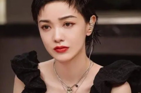 女明星长期,揭秘女明星的辉煌历程与永恒魅力